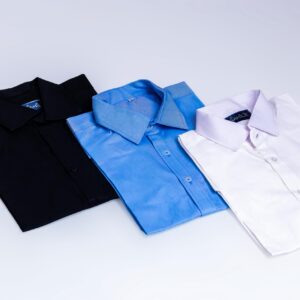 Simple Elegance Business Shirt